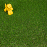 Abbeydale 35mm Artificial Grass