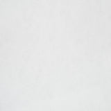 Snow White Fire Retardant Outdoor Carpet