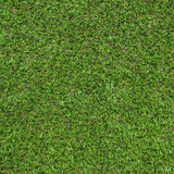 Campion 30mm Artificial Grass