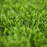 Campion 30mm Artificial Grass