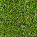 Derwent 30mm Artificial Grass