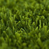 Autograph Artificial Grass