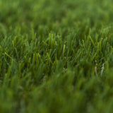 Buffalo 30 Artificial Grass