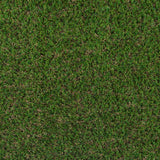Buttercup 27 Artificial Grass