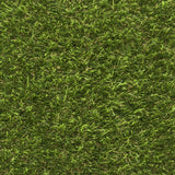 Cargo Artificial Grass