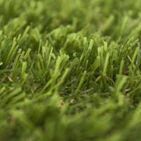 New Cargo Artificial Grass