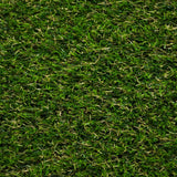 Lassen 30 Artificial Grass