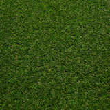 Lassen 30 Artificial Grass