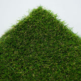 Lassen 30 Artificial Grass