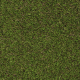 Elderberry 42mm Artificial Grass - Sample