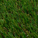 Buttercup 27 Artificial Grass