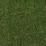 Buttercup 27 Artificial Grass