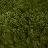 Holly 42mm Artificial Grass - Sample