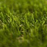 Elkstone 27 Artificial Grass