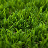 Sequoia 40 Artificial Grass