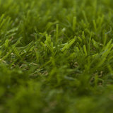 Masonic Artificial Grass