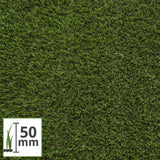 Bluebell 50 Artificial Grass