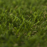 Paris Artificial Grass