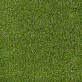 Parkdale 20mm Artificial Grass far