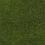Prague Artificial Grass
