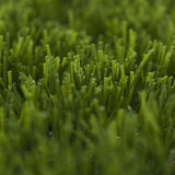 Prize 50 Artificial Grass