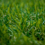 Cleveland 27 Artificial Grass