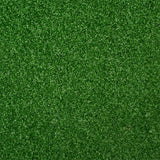 Rio 13mm Artificial Grass