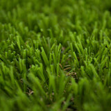 Ainsworth 28 Artificial Grass 2m