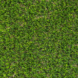 Teakham 30mm Artificial Grass