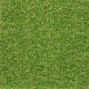 Severn 20mm Artificial Grass