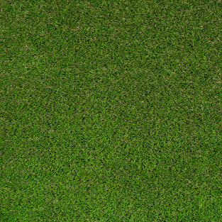 Abbeydale 35mm Artificial Grass