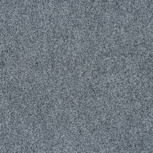 Light Grey Outdoor Carpet