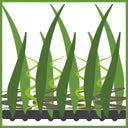 Multi-Directional Pile