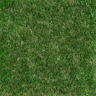 Oxhill 25mm Artificial Grass 5m