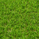 Palm Spring 47mm Artificial Grass