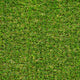 Yellowstone 38mm PU Backed Artificial Grass