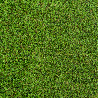 Beechway 30mm Artificial Grass