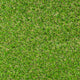 Damson 37mm Artificial Grass