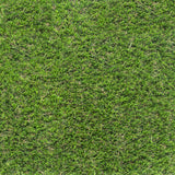 Palmbank 35mm PU Backed Artificial Grass 5m