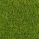 Firbrook 37mm Artificial Grass