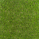 Limetree 32mm Artificial Grass