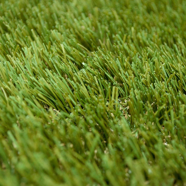 Holly 42mm Artificial Grass