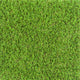 Summerhill 30mm Artificial Grass