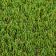 Applewood 30mm Artificial Grass