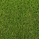 Applewood 30mm Artificial Grass