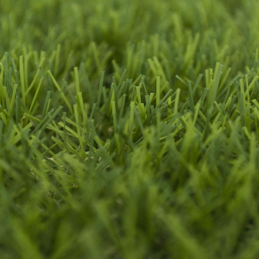 Ashridge 32 Artificial Grass