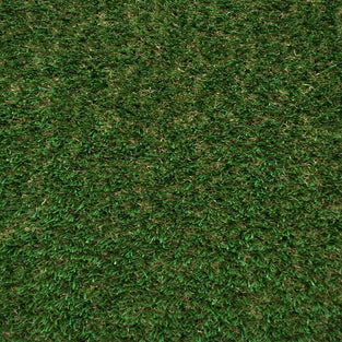 Bramble 32 Artificial Grass