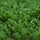 Pennine 32 Artificial Grass