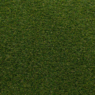 Primrose 20 Artificial Grass