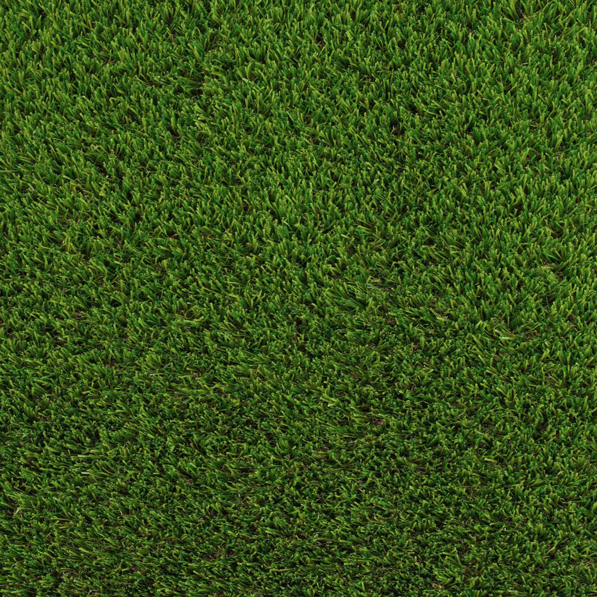 Camomile 32mm Artificial Grass - Sample